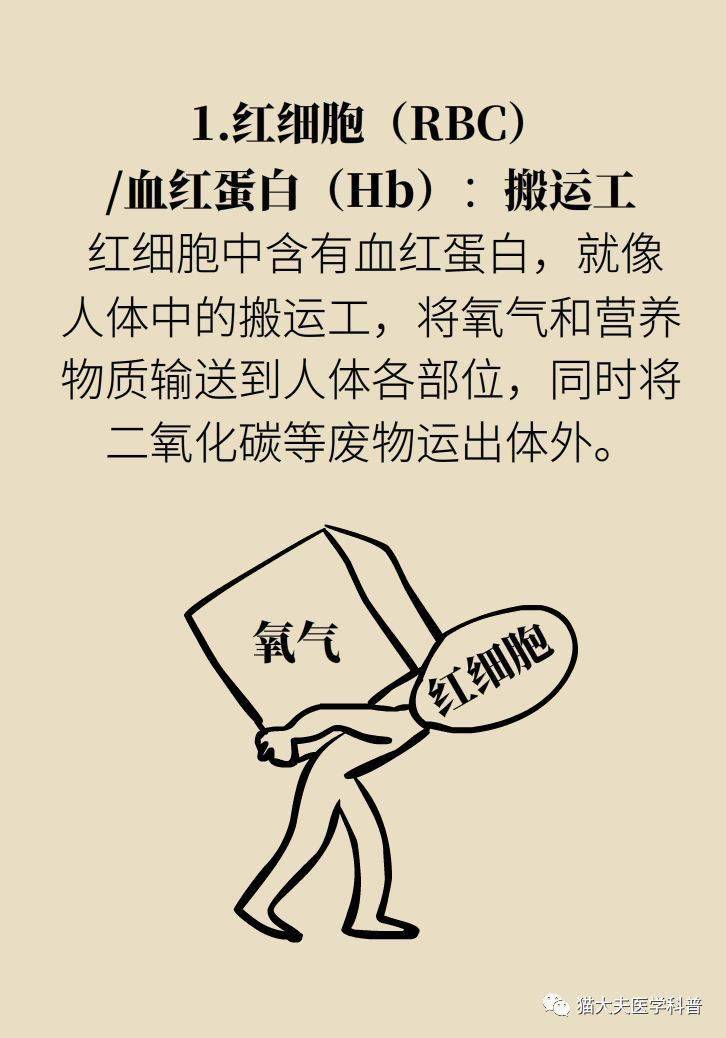 3分钟教你科普“德扑圈外挂最新版-哔哩哔哩 