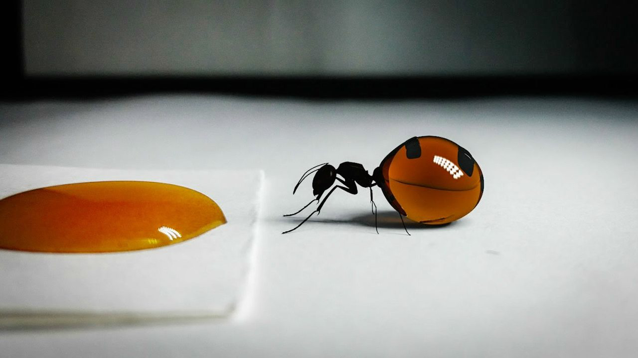 5分钟教会你“蚂蚁大厅有挂吗!其实确实有挂的