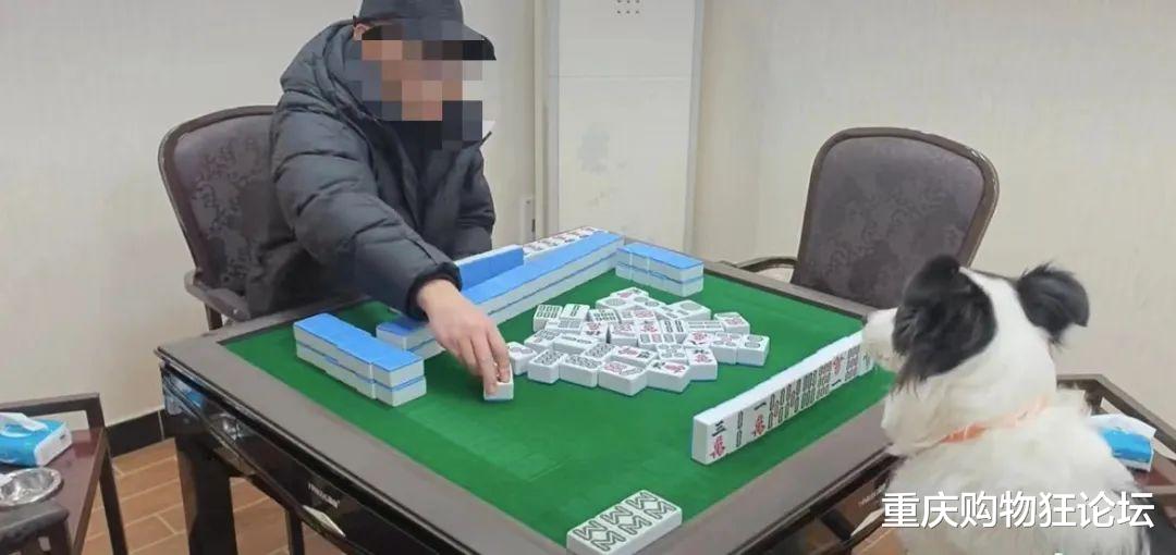 必看盘点揭秘!巴蜀麻将最简单开挂教程”其实确实有挂 