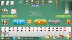 玩家必备！闲逸斗地主挂在哪里买(怎么才有好牌)