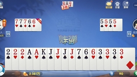 安装教程！白金岛斗地主确实有挂的(如何提高好牌几率)