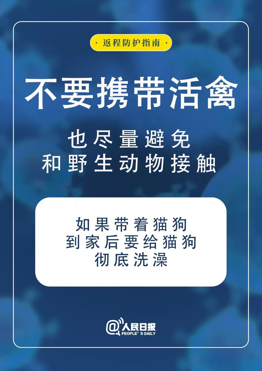 教程辅助“开心十三张到底有没有挂(确实有挂)-知乎