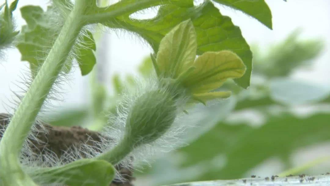 3分钟讲解！塑料扑克牌各种做记号的最佳方法,推荐4个购买渠道